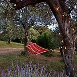 Tramonto