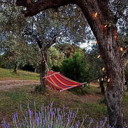 Tramonto
